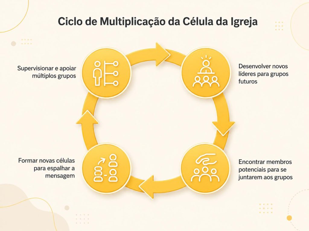 Ciclo de Multiplicação de Célula