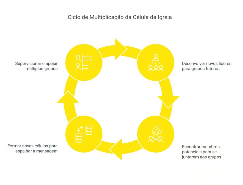 Ciclo de Multiplicação de Célula